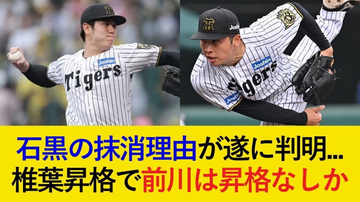 【入れ替え最新情報】石黒の抹消理由が判明...。椎葉は昇格も、前川は昇格報道なし...【阪神タイガース】
