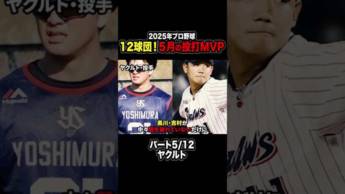 【プロ野球】2025年プロ野球12球団！5月の投打MVP！パート5/12 #プロ野球 #オールスター #東京ヤクルト #小川泰弘 #サンタナ