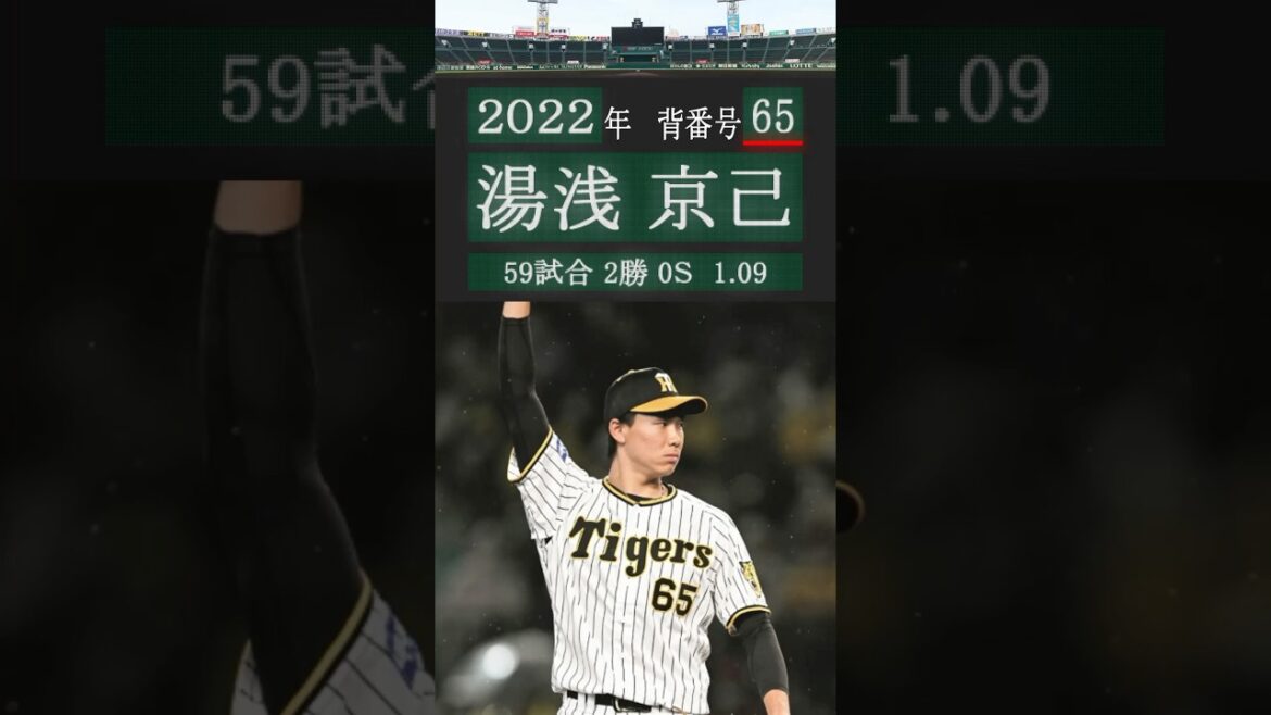 阪神タイガース歴代背番号#65 2000-2025 #阪神タイガース #背番号 #緒方凌介 #湯浅京己 #登場曲