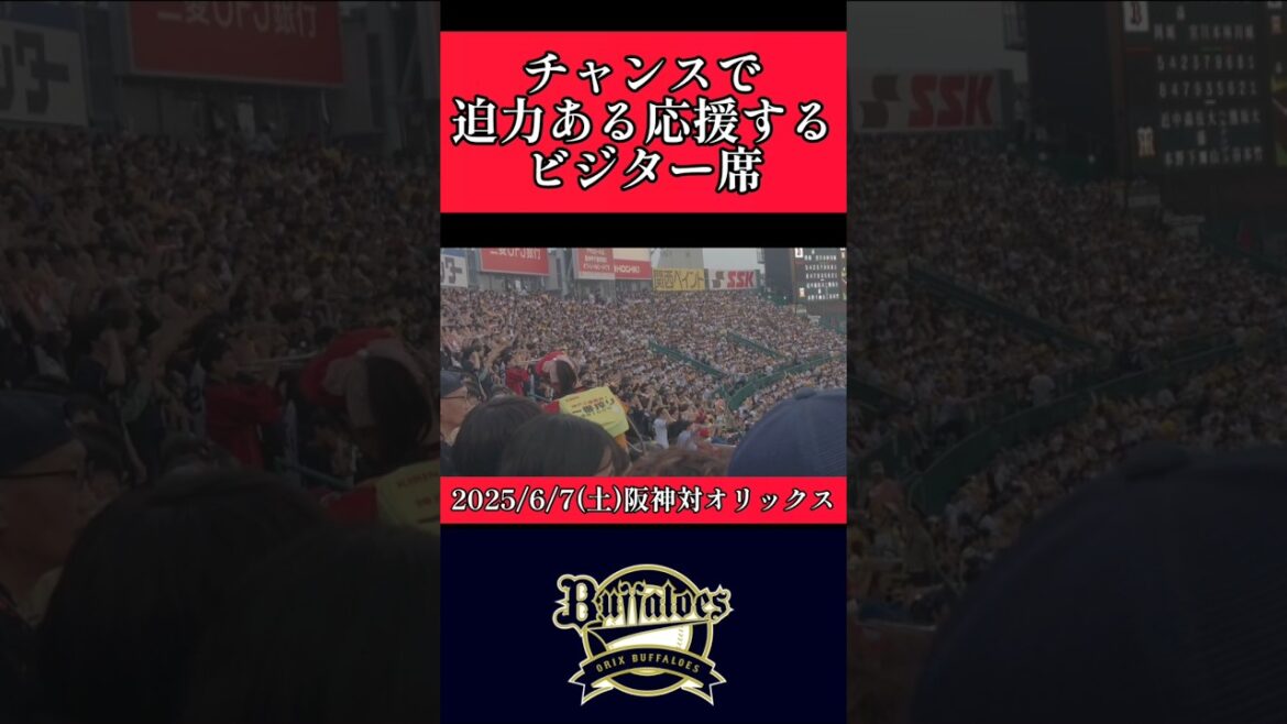 【オリックス】チャンスで迫力ある応援！ #オリックスバファローズ #阪神 #阪神タイガース #shorts