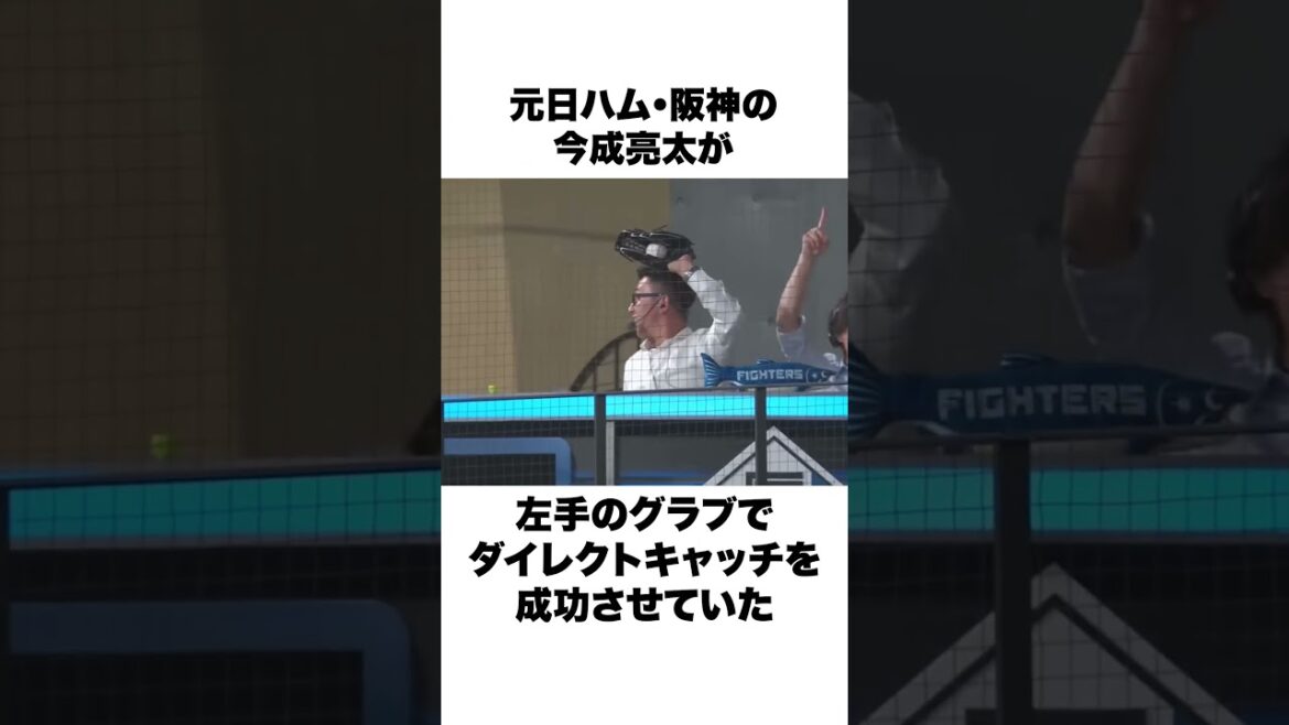 「ホームラン性の当たりをまさかのキャッチ」清宮幸太郎と今成亮太についての雑学#野球 #野球雑学#日本ハムファイターズ