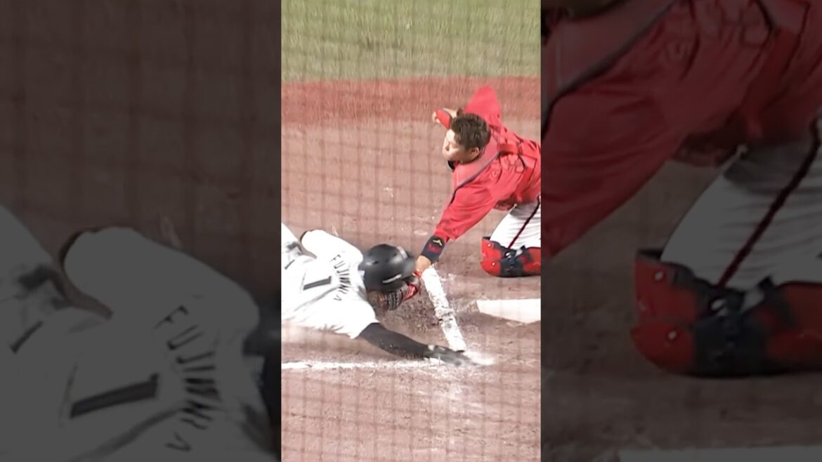 藤原恭大選手の神の左手！#chibalotte