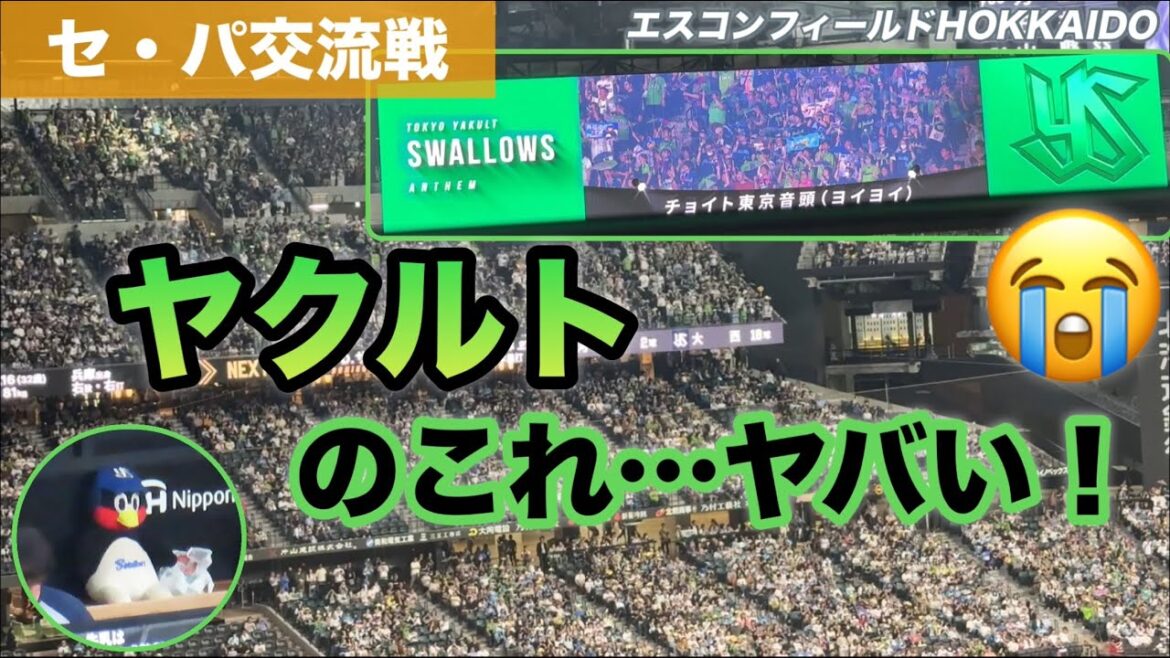 セ・パ交流戦‼︎ヤクルトさん眩しいー！東京音頭でエスコン一体になっちゃった！😳
