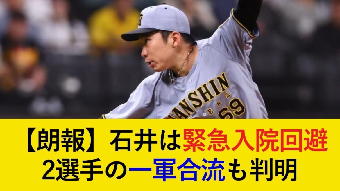 【球団が新たに発表】石井は緊急入院回避で自宅静養へ。脳震盪特例での抹消は不可避か…。2選手の一軍合流も判明【阪神タイガース】 【球団が新たに発表】石井は緊急入院回避で自宅静養へ。脳震盪特例での抹消は不可避か...。2選手の一軍合流も判明【阪神タイガース】