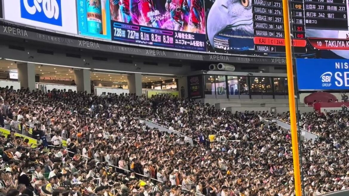 【目に焼き付けよう】【甲斐拓也を】