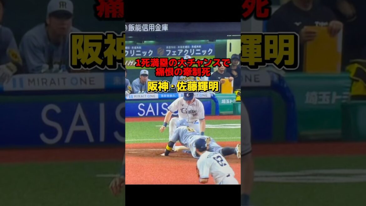 飛び出しテル！