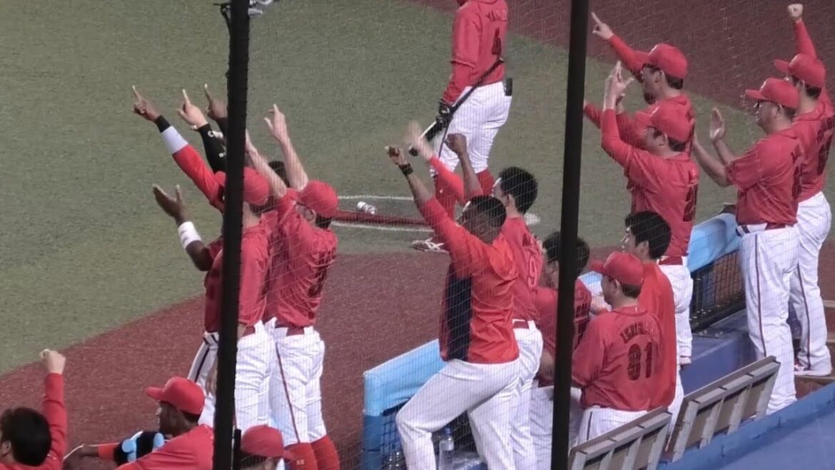 6回、暴投&大盛穂の同点タイムリーで盛り上がるカープベンチ！広島東洋カープvs千葉ロッテマリーンズ 2025年6月12日
