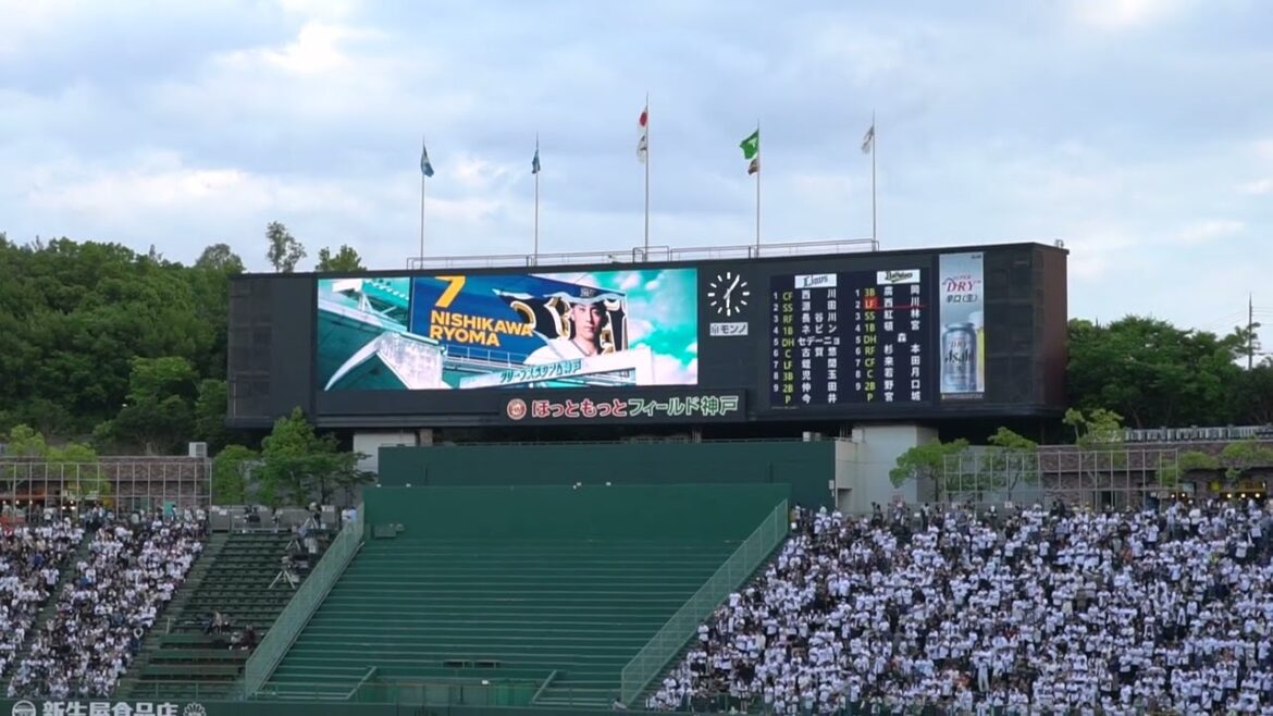 2025 5-31 オリックス・バファローズ 西川龍馬 登場曲 ずっと(DOBERMAN INFINITY) inほっともっとフィールド神戸