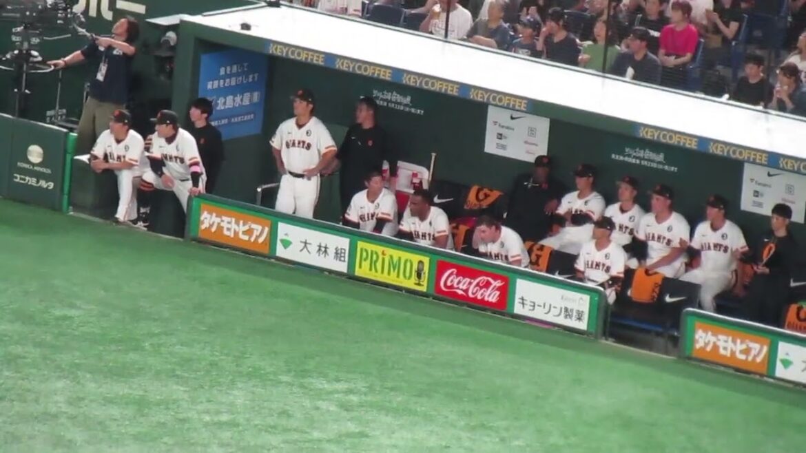 ランナー一塁でオコエ瑠偉の打席を見る丸佳浩や増田大輝【読売ジャイアンツ対 楽天イーグルス2025年6月6日】