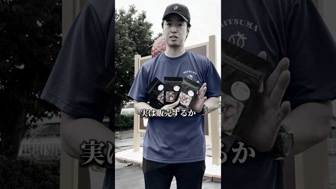 ドライいちご！新商品開発したが手間がかかり過ぎて、商品化を断念しようとしていた。