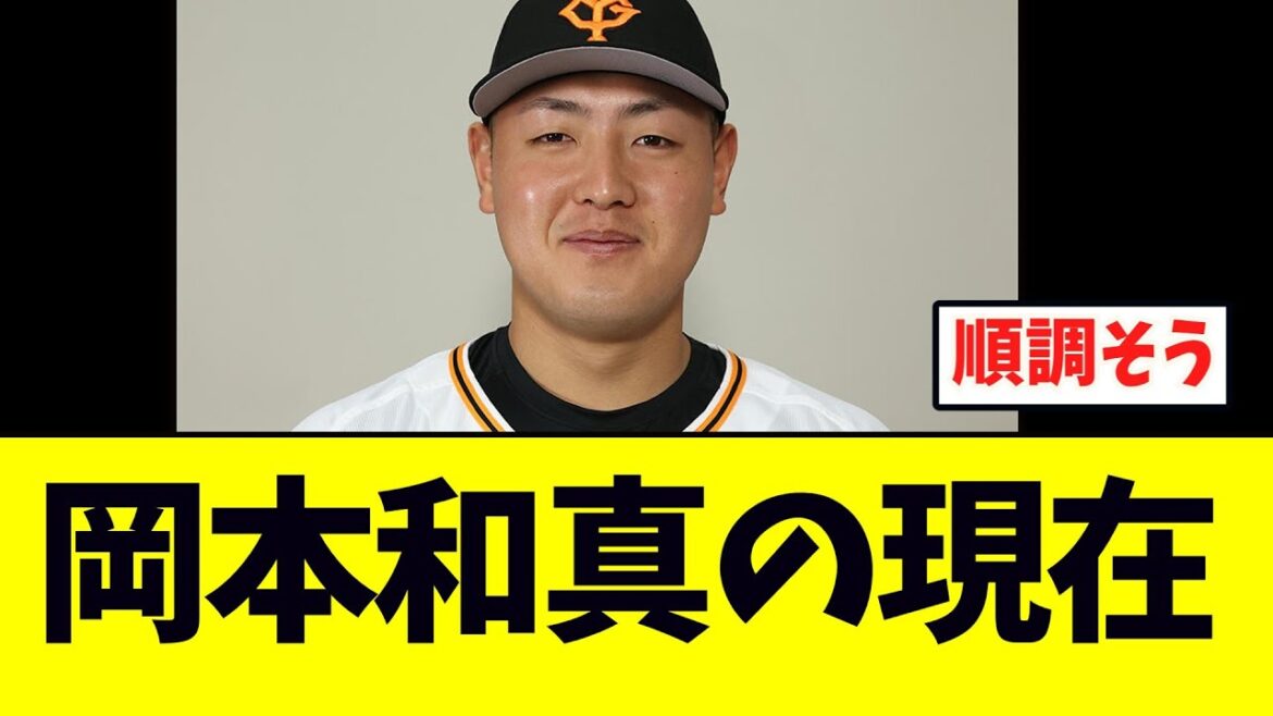 巨人岡本和真、最新情報がこちら