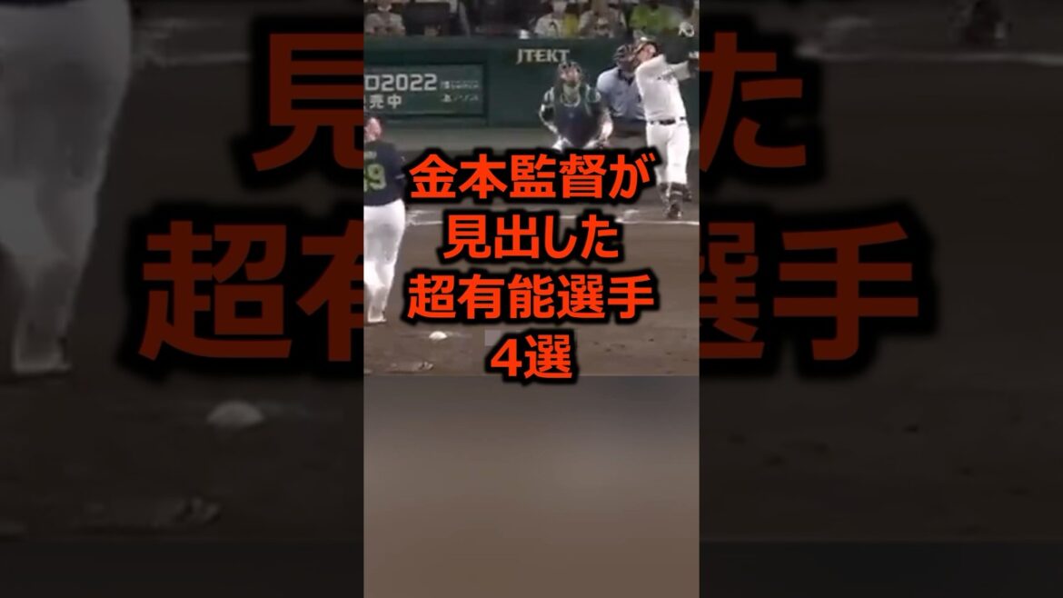 金本監督が見出した超有能選手4選 #プロ野球 #阪神タイガース #阪神