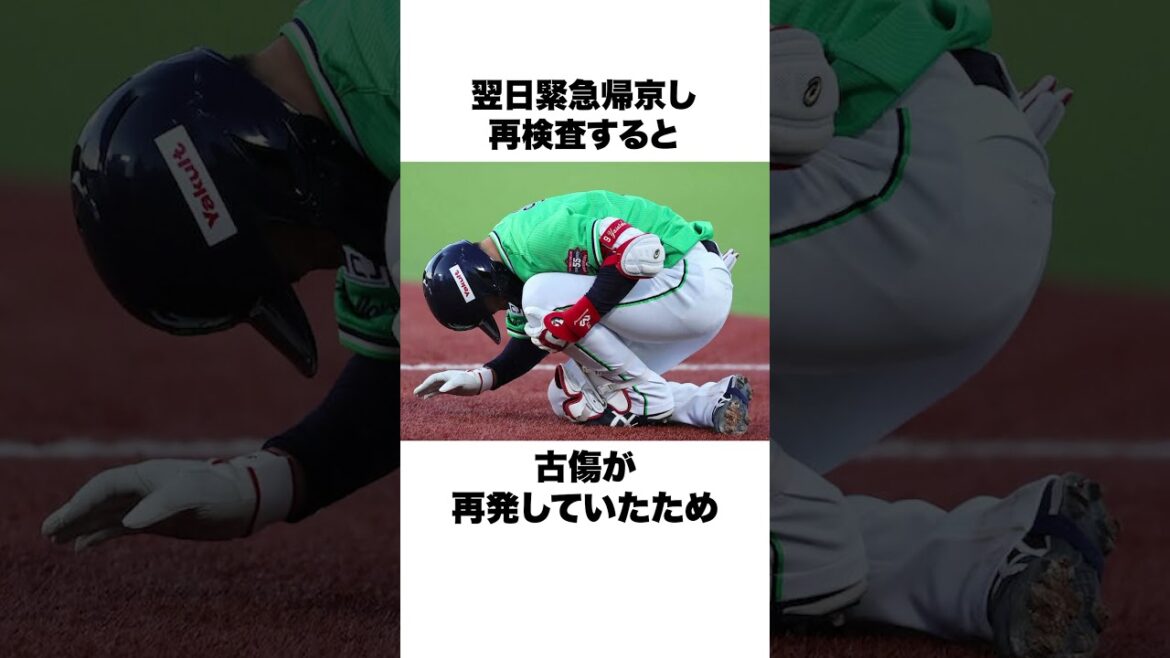 「スパイクを変える必要がある」と言った新庄剛志と塩見泰隆についての雑学#野球 #野球雑学#東京ヤクルトスワローズ