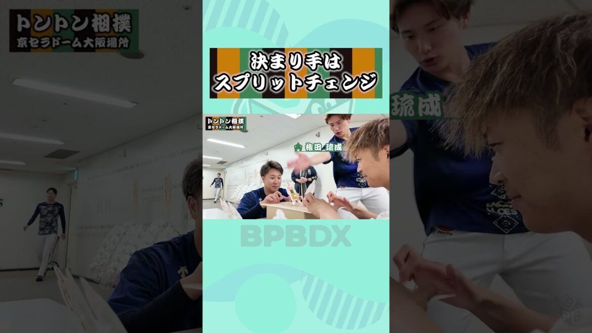 トントン相撲 京セラドーム大阪場所 #阿部翔太 #古田島成龍 #権田琉成 #オリックス #shorts #BPBDX