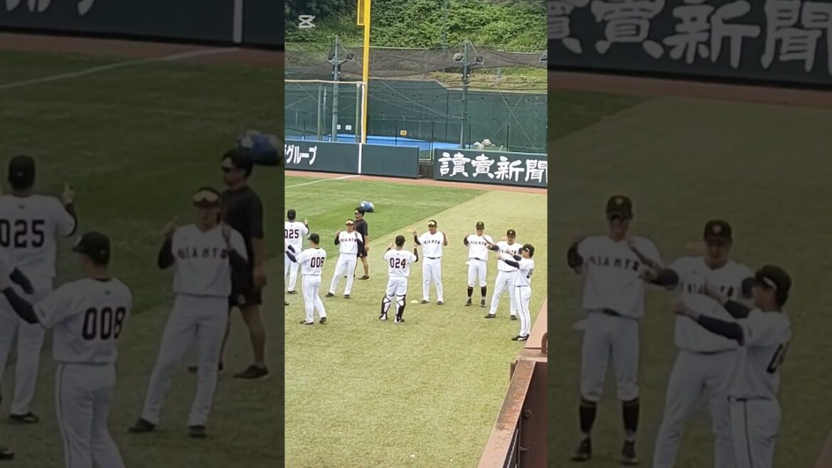 ②【GIANTS】育成ヤングジャイアンツのウォーミングアップ #shorts #巨人 #ジャイアンツ #プロ野球