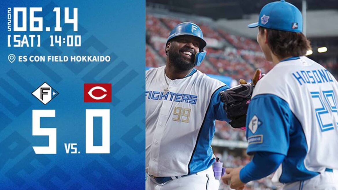 【細野プロ初勝利！野村復帰後最初の一発！】vs. 広島東洋カープ　6/14ハイライト