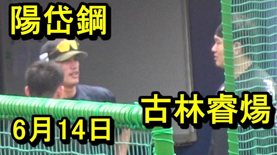 古林睿煬、鎌ケ谷リハビリスタート、陽岱鋼と対面！、陽岱鋼は快音連発打撃練習2025.6.14