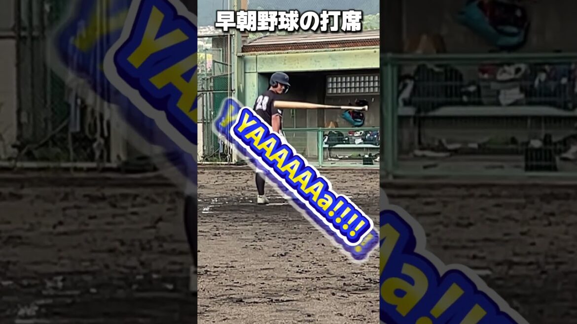 ベンチの声「４番の仕事」  #shorts #baseball #野球 #batting #バッティング #野球のミカタ #打撃探究部屋