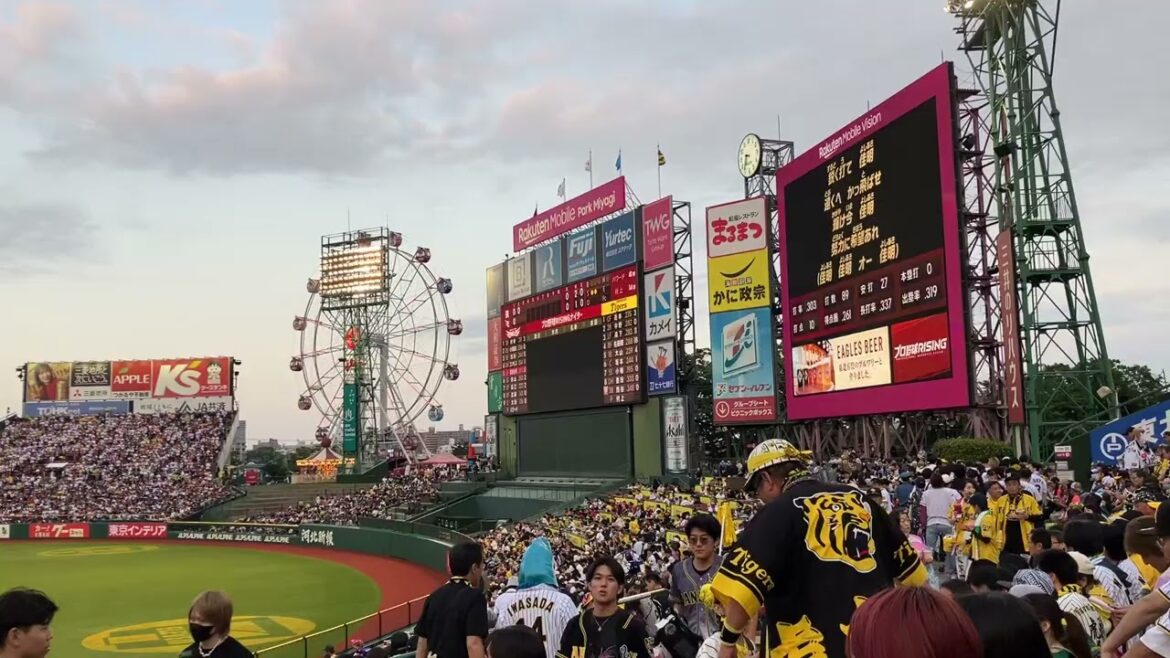 2025/6/13 楽天　渡邊佳明　応援歌