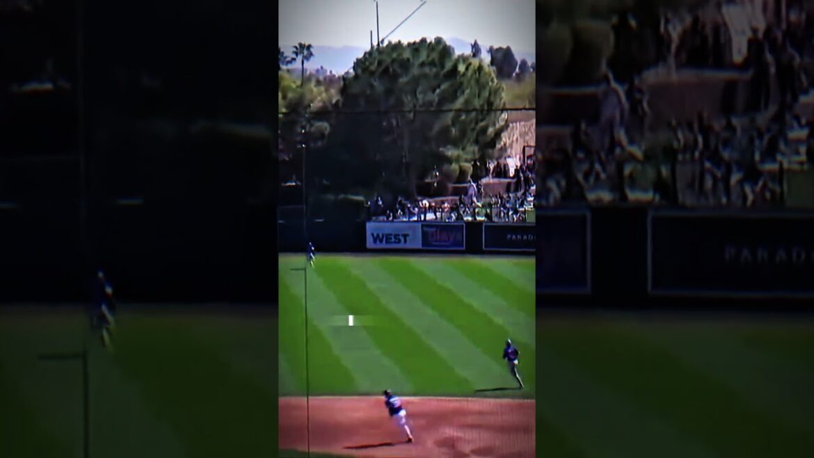 Rosario Proved A Heckler Wrong 🔥😳 #shorts #mlb