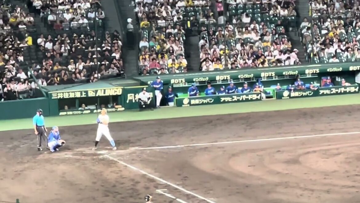 【ホームランシーンあり】 #阪神 #井上広大 選手 第二打席シーン 24.9.4.🆚 #中日ドラゴンズ#阪神甲子園球場