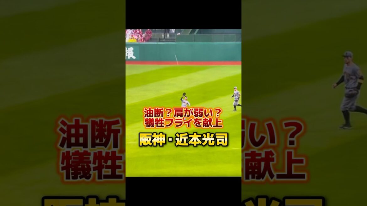 これがセーフになる…