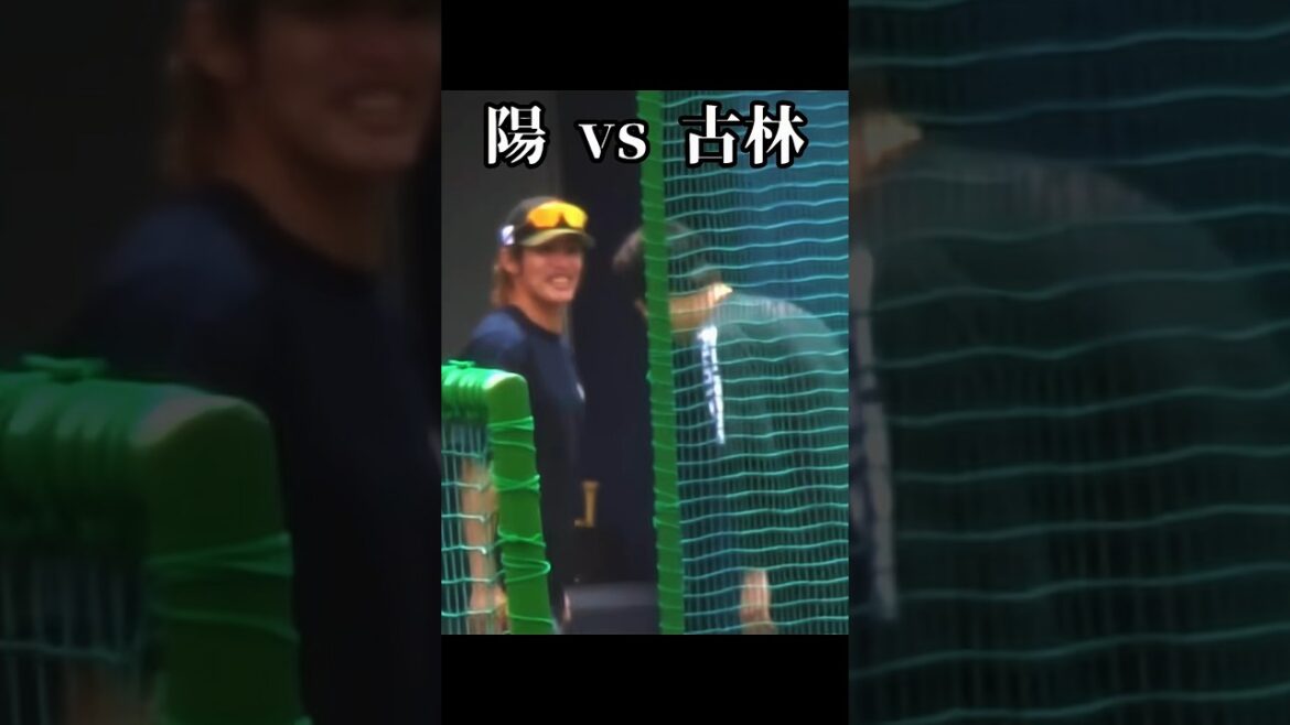 【火腿前後輩】古林睿煬復健戰巧遇陽岱鋼！台灣前後輩暖心互動｜6/14 日本火腿 vs 新潟天鵝