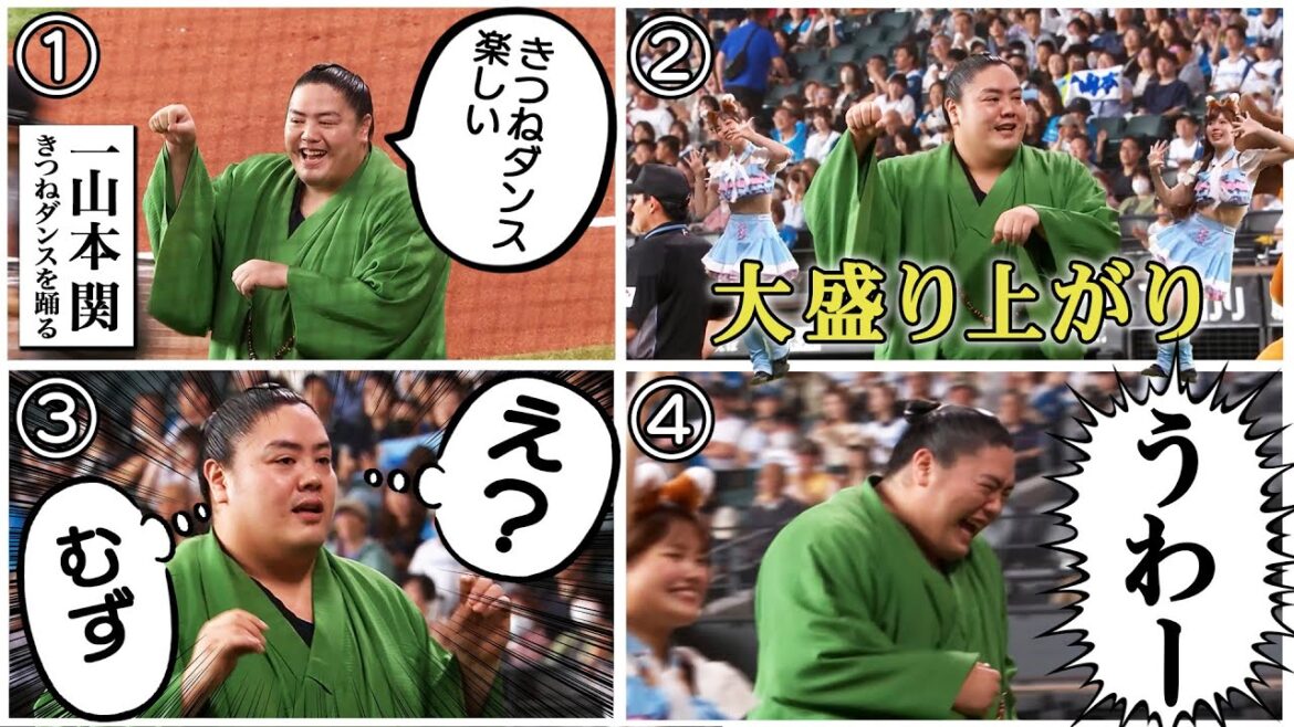 【きつねダンス史上最重量（たぶん）】大相撲力士・一山本関がきつねダンスに登場！