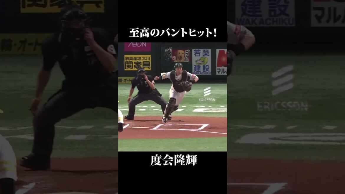 度会、至高のバントヒット！
