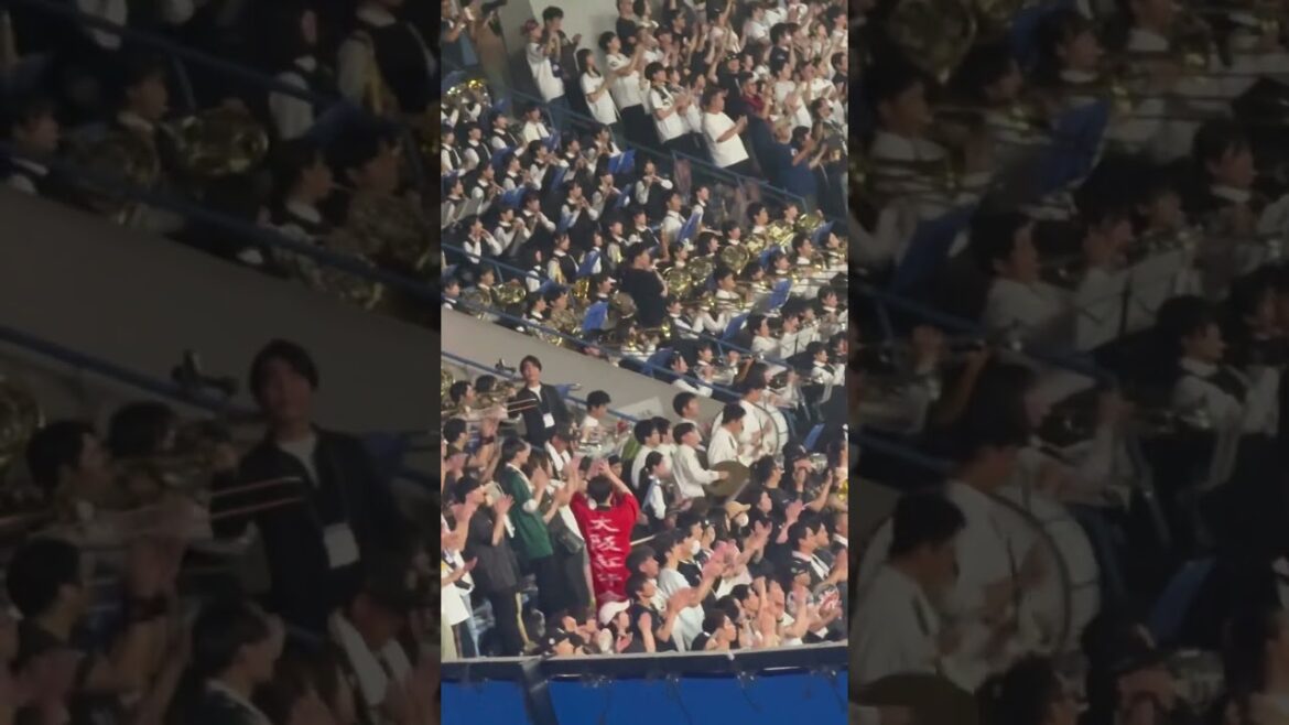 大阪桐蔭×オリックス 桐蔭マーチ バファローズ高校 #大阪桐蔭 #オリックスバファローズ #高校野球