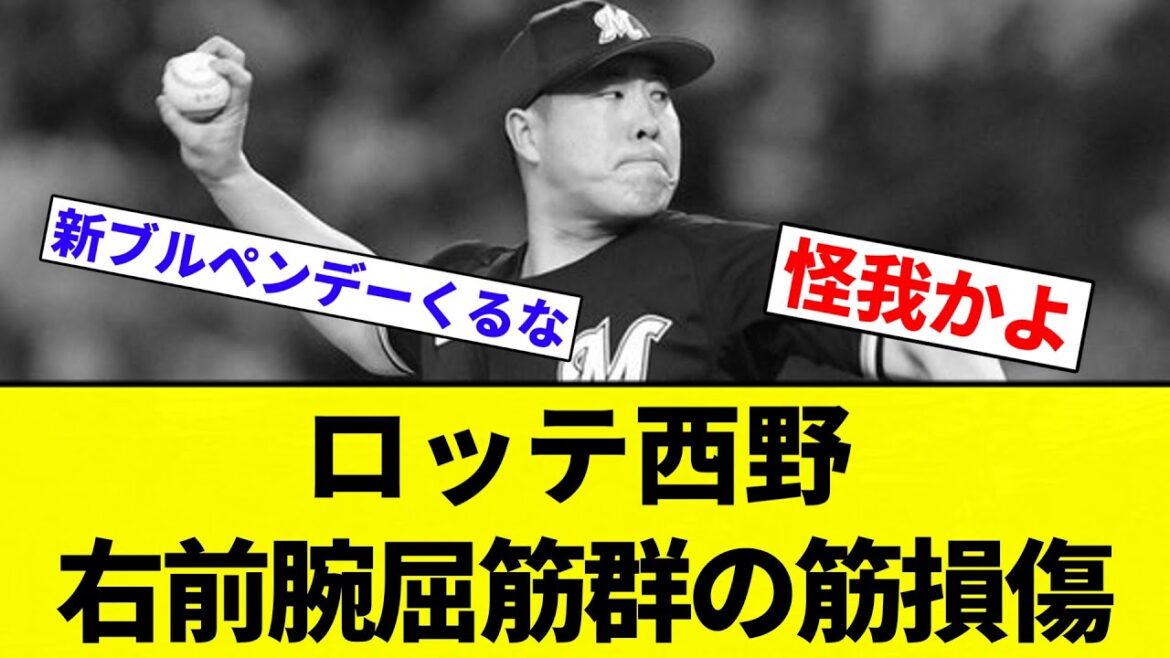 【うぼあー】ロッテ西野 右前腕屈筋群の筋損傷【プロ野球反応集】【2chスレ】【なんG】 【うぼあー】ロッテ西野 右前腕屈筋群の筋損傷【プロ野球反応集】【2chスレ】【なんG】