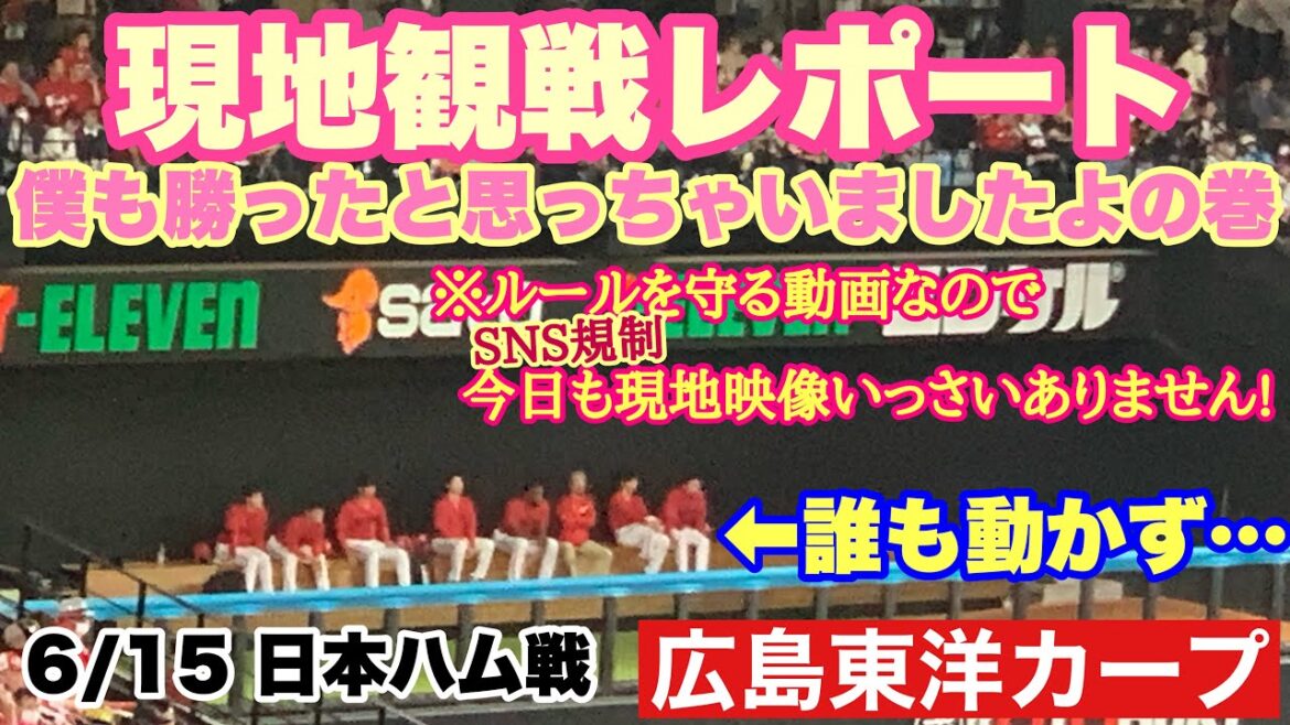 【広島東洋カープ】６/１５ 日本ハム戦　現地応援２日目　みなさん、目の前でまさかこんなことが起こるなんて・・・・(泣)　【森翔平】【中﨑翔太】【森浦大輔】【テイラー・ハーン】【栗林良吏】【カープ】