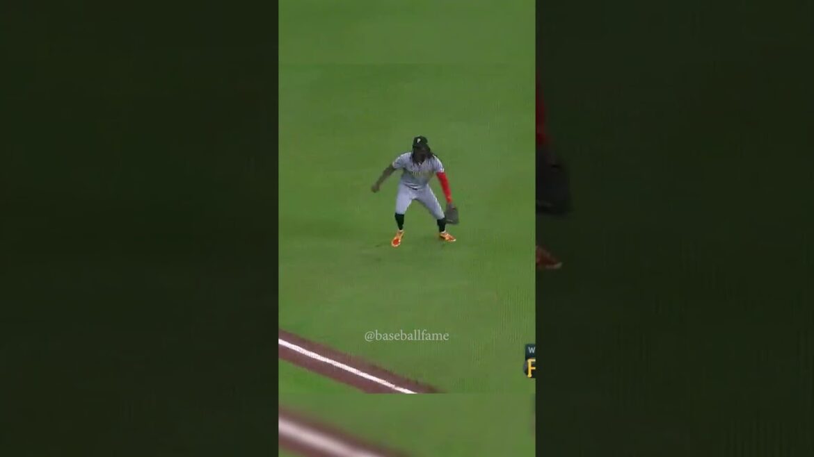 Comedy of Errors: Alvarez Scores After O'Neil Cruz Collision | MLB Highlights #mlb #baseball