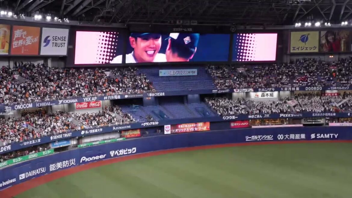 20250614 オリックスバッファローズ 大城 滉二 サヨナラ四球+ロゼ アパート 오릭스 오시로코지 끝내기 볼넷 + 로제 아파트