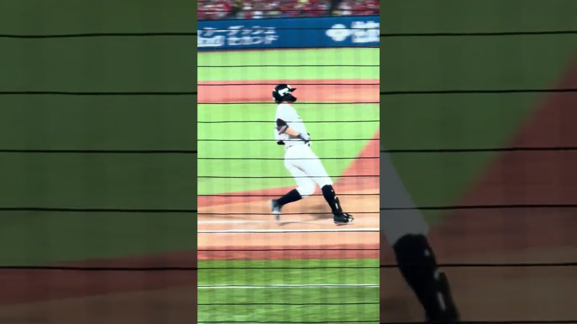 山崎晃大朗　3回裏　ヒットで出塁　2024・10・3 東京ヤクルトスワローズ　広島東洋カープ　神宮球場