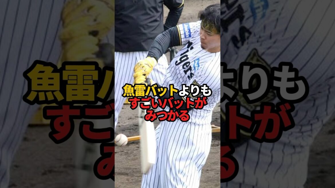 魚雷バットよりもすごいバットがみつかる#sports #shorts #プロ野球 #野球 #やきゅスト