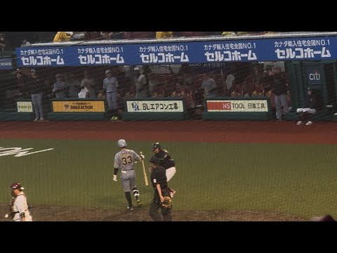 【意地の選球眼】糸原健斗 押し出し四球を選び同点 元同僚加治屋から盛り上がるベンチとライトスタンド 【意地の選球眼】糸原健斗 押し出し四球を選び同点 元同僚加治屋から盛り上がるベンチとライトスタンド