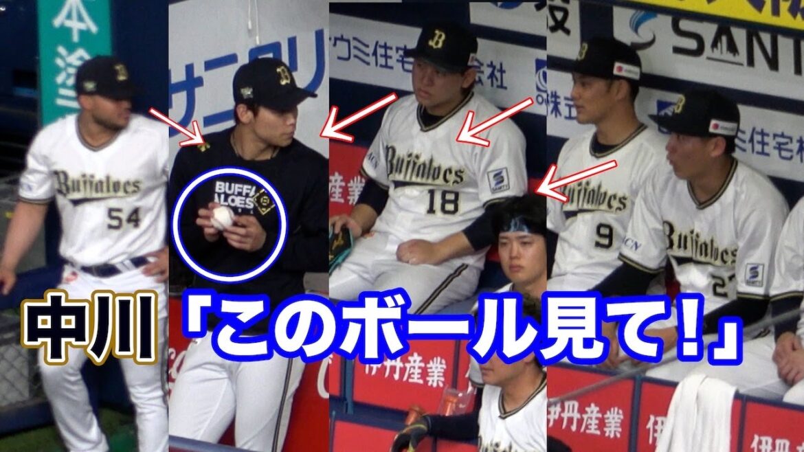 ボールの表面がえぐれた？頓宮が打ったファウルボールを順番に回し見するオリックスベンチ