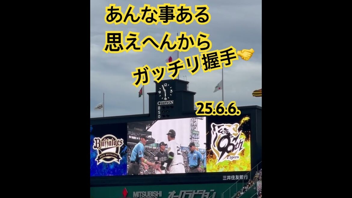 #hanshintigers #orixbuffaloes #阪神甲子園球場 #藤川球児 #阪神タイガース #阪神#阪神応援 #藤川監督 #野球 #交流戦 #プロ野球