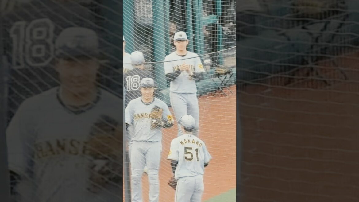 ファインプレーの中野拓夢を迎える阪神ベンチ ファインプレーの中野拓夢を迎える阪神ベンチ