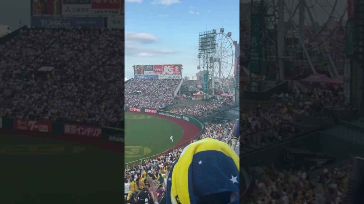 #shorts  #野球 佐藤輝明本塁打確信するもフェン直単打に...ﾌﾞﾘﾝs