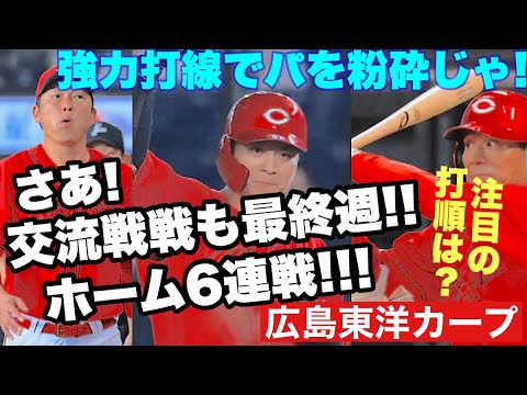 【広島東洋カープ】明日からホーム6連戦! 交流戦の最後の週、ここから巻き返しましょう! DHがなくなるので打順はもちろん・・・ 【大盛穂】【田中広輔】【矢野雅哉】【菊池涼介】【新井貴浩】【カープ】 【広島東洋カープ】明日からホーム6連戦! 交流戦の最後の週、ここから巻き返しましょう! DHがなくなるので打順はもちろん・・・ 【大盛穂】【田中広輔】【矢野雅哉】【菊池涼介】【新井貴浩】【カープ】
