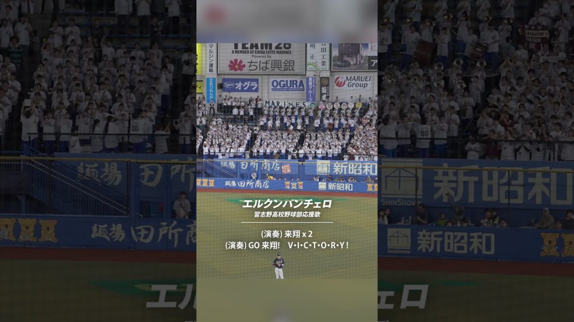 【美爆音】エルクンバンチェロ【習志野高校吹奏楽部 マリーンズ応援特別参加】#chibalotte