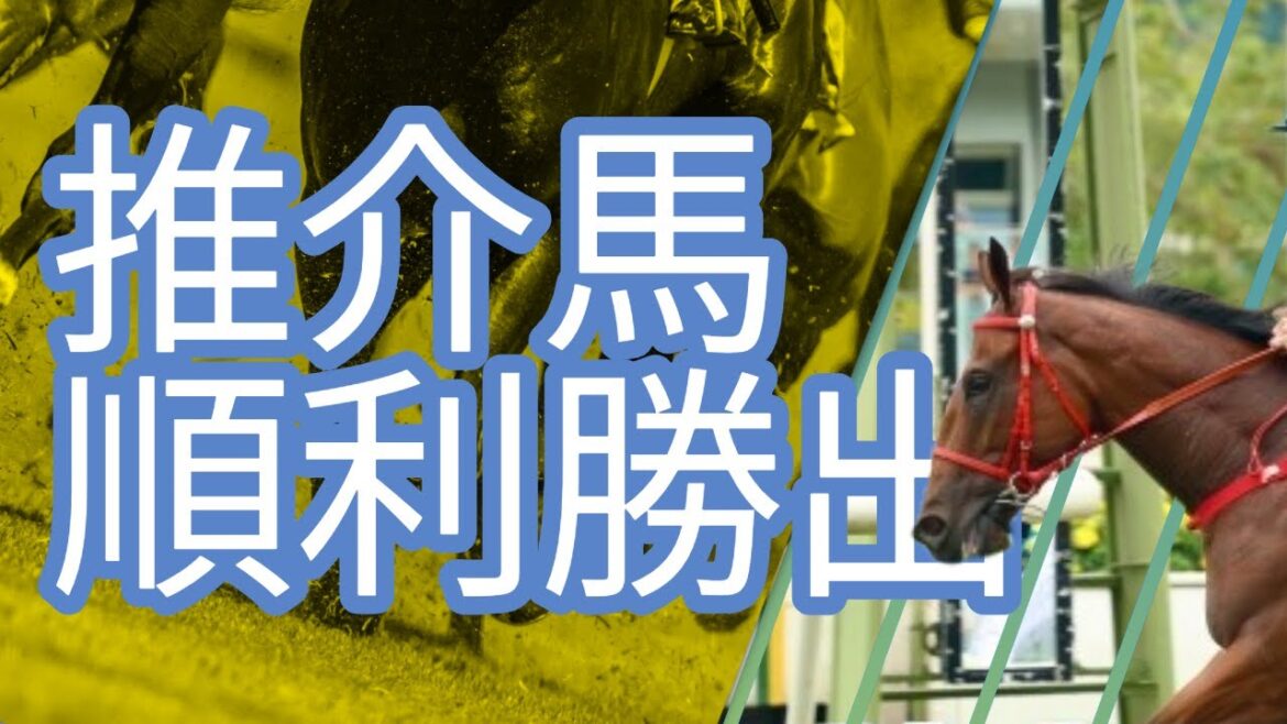 【馬迷誌】今個星期抖一抖 周日田草博到夠｜上仗有好嘢＋專題｜24-25賽季 #捷足奔馳 #錶之星河 #文家良 #森立演藝 #TheVigor #洺城會