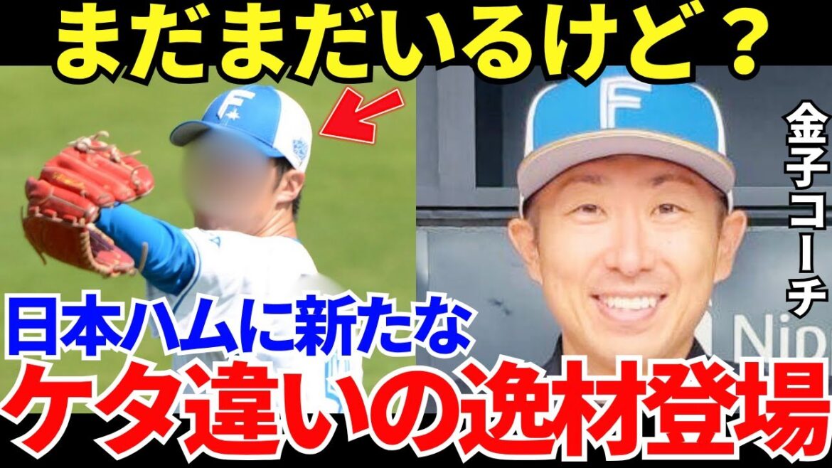 金子千尋コーチ「このピッチャーは僕を超えますね」また新たにもう一人、日本ハムに金子コーチが絶賛するピッチャー爆誕 金子千尋コーチ「このピッチャーは僕を超えますね」また新たにもう一人、日本ハムに金子コーチが絶賛するピッチャー爆誕