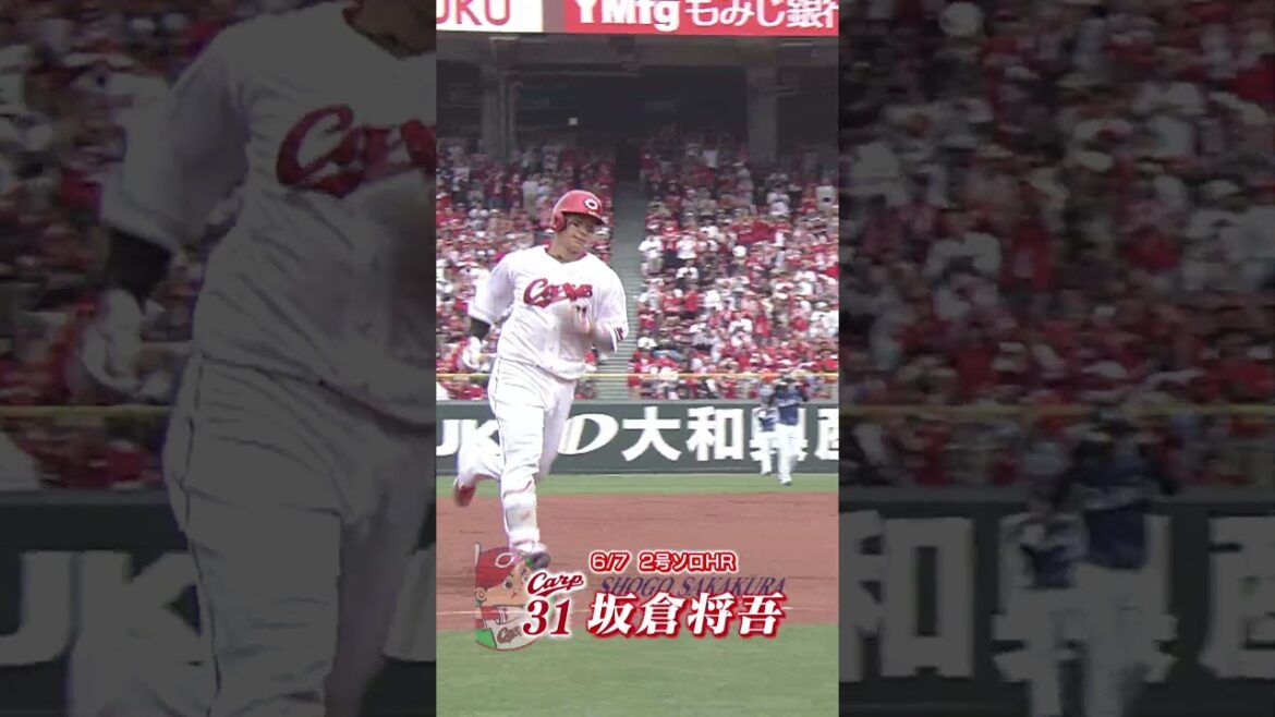 【豪快弾】西武・エース今井達也投手から豪快な一発🔥 #カープ #坂倉将吾 #今井達也 #西武ライオンズ