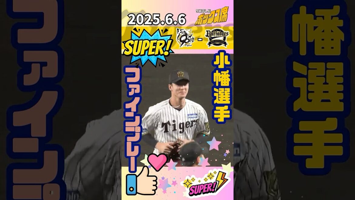 【究極のプレー】小幡選手の超ファインプレーに甲子園が熱狂に包まれた！　#サンテレビボックス席