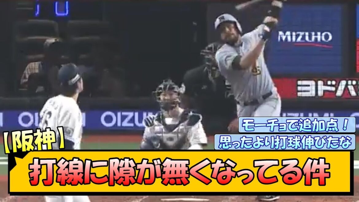 【阪神】打線に隙が無くなってる件