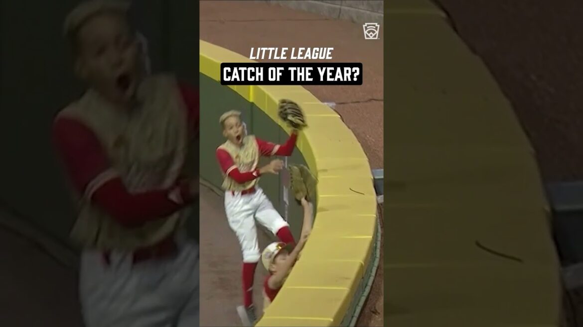 Little League Catch of the Year?!