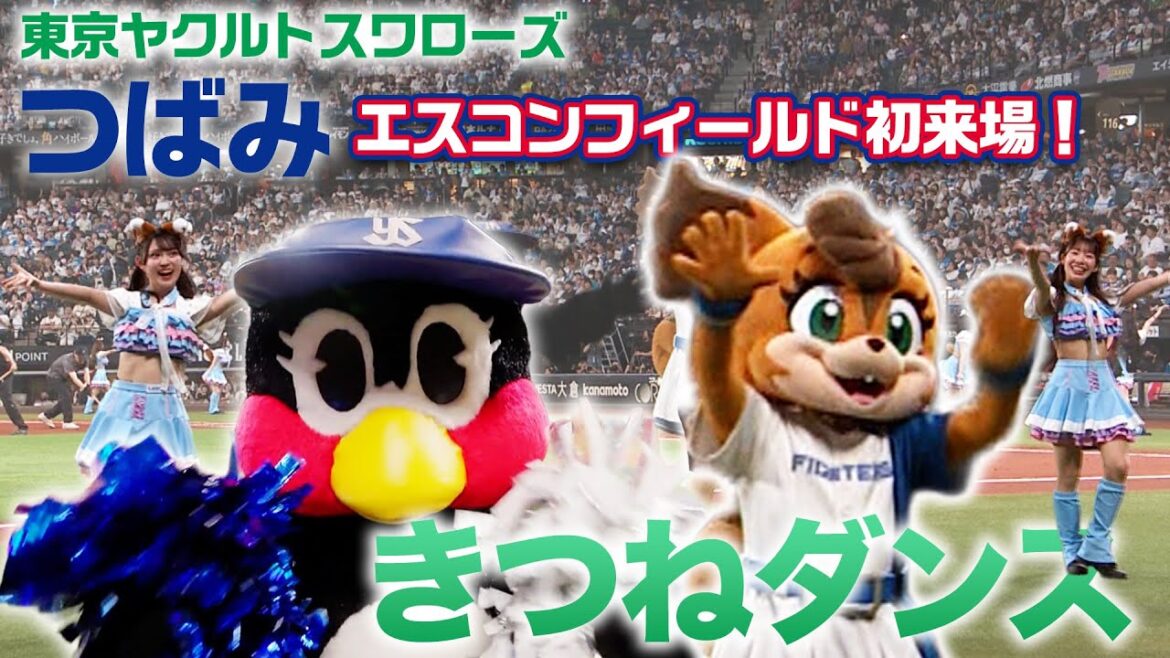 【エスコンフィールドへようこそ！】東京ヤクルトスワローズ つばみ ときつねダンス！【日本生命セ・パ交流戦】